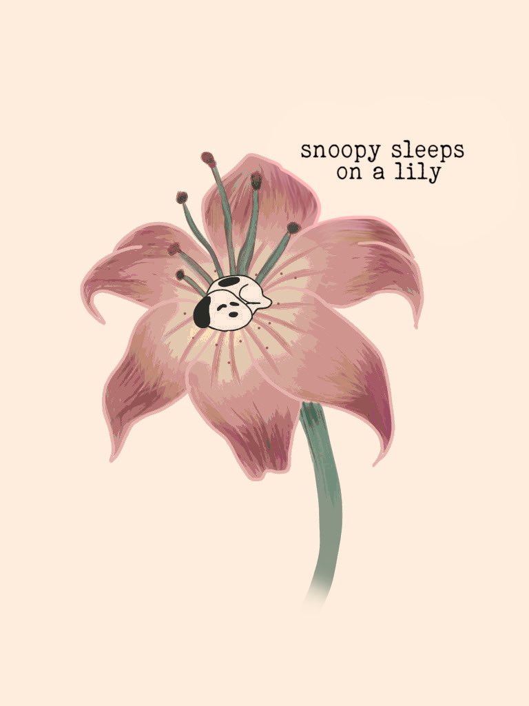 Daily Snoopy (@dailysnoopys) on Twitter photo 