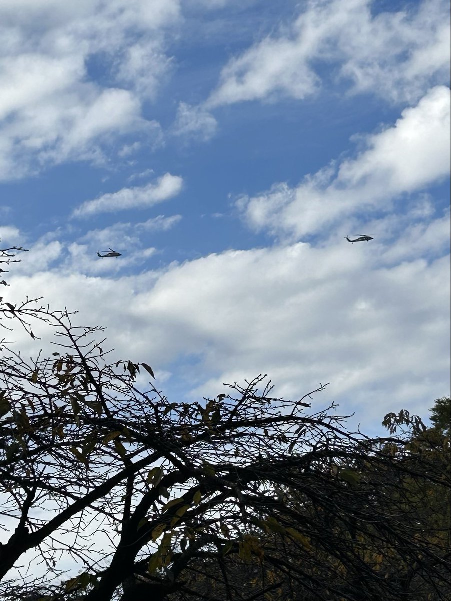 朝から元気にヘリコプター旋回中