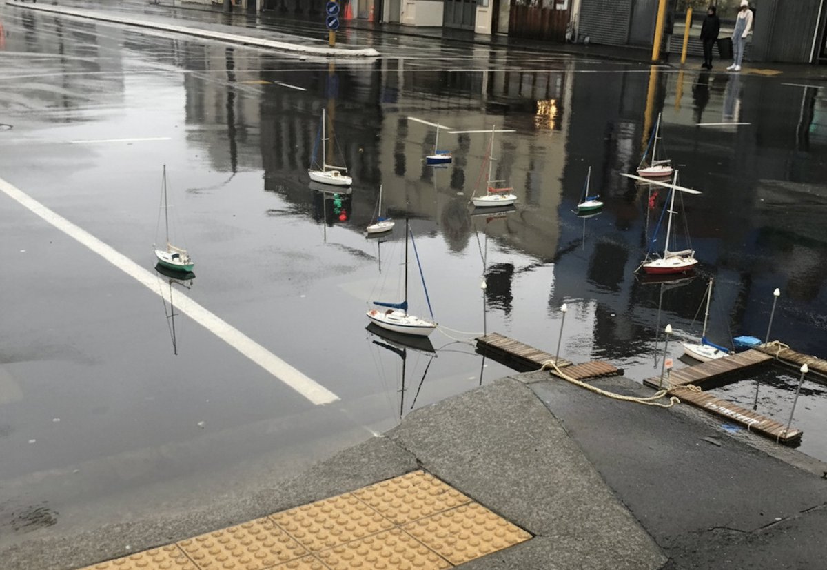 Taranaki St Puddle tweet media