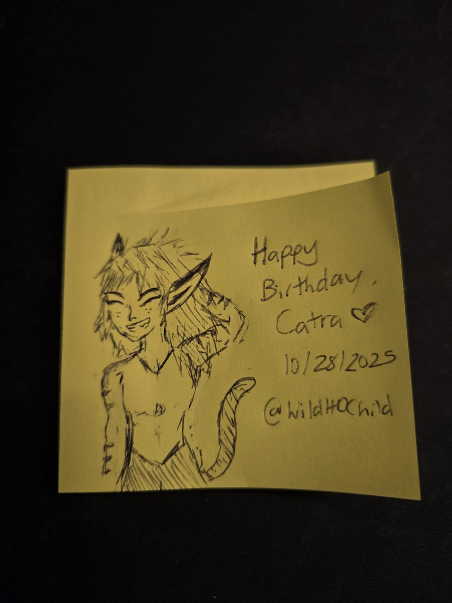 WildHDChild's tweet photo. Happy birthday Catra ❤️ 
#shera #catra #spop #sheraandtheprincessesofpower https://t.co/WuZ5fvYtHK