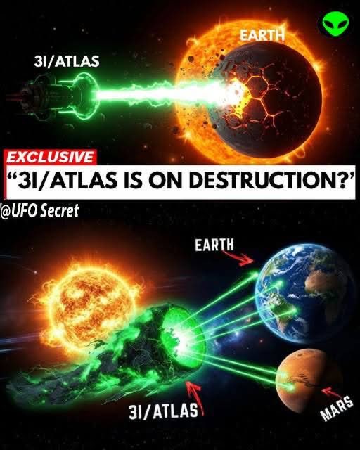 Cameron Grysen tweet media