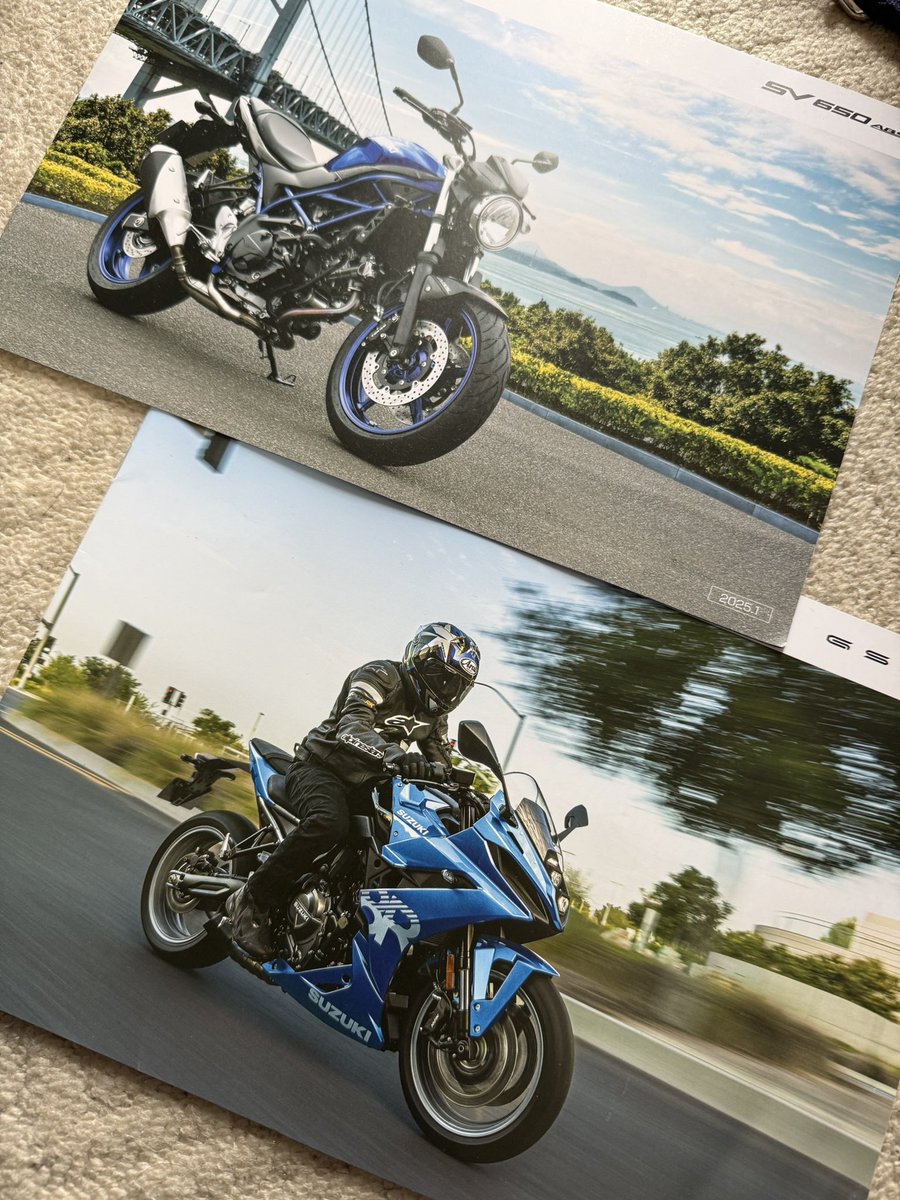 ジク250/ 相棒バイクは大型ミドルの予定 on X