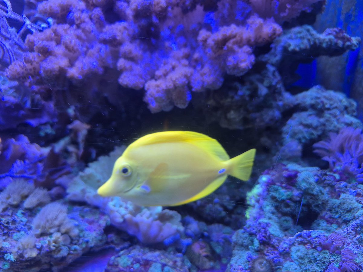 Kasandora 🏳️‍🌈 tweet media