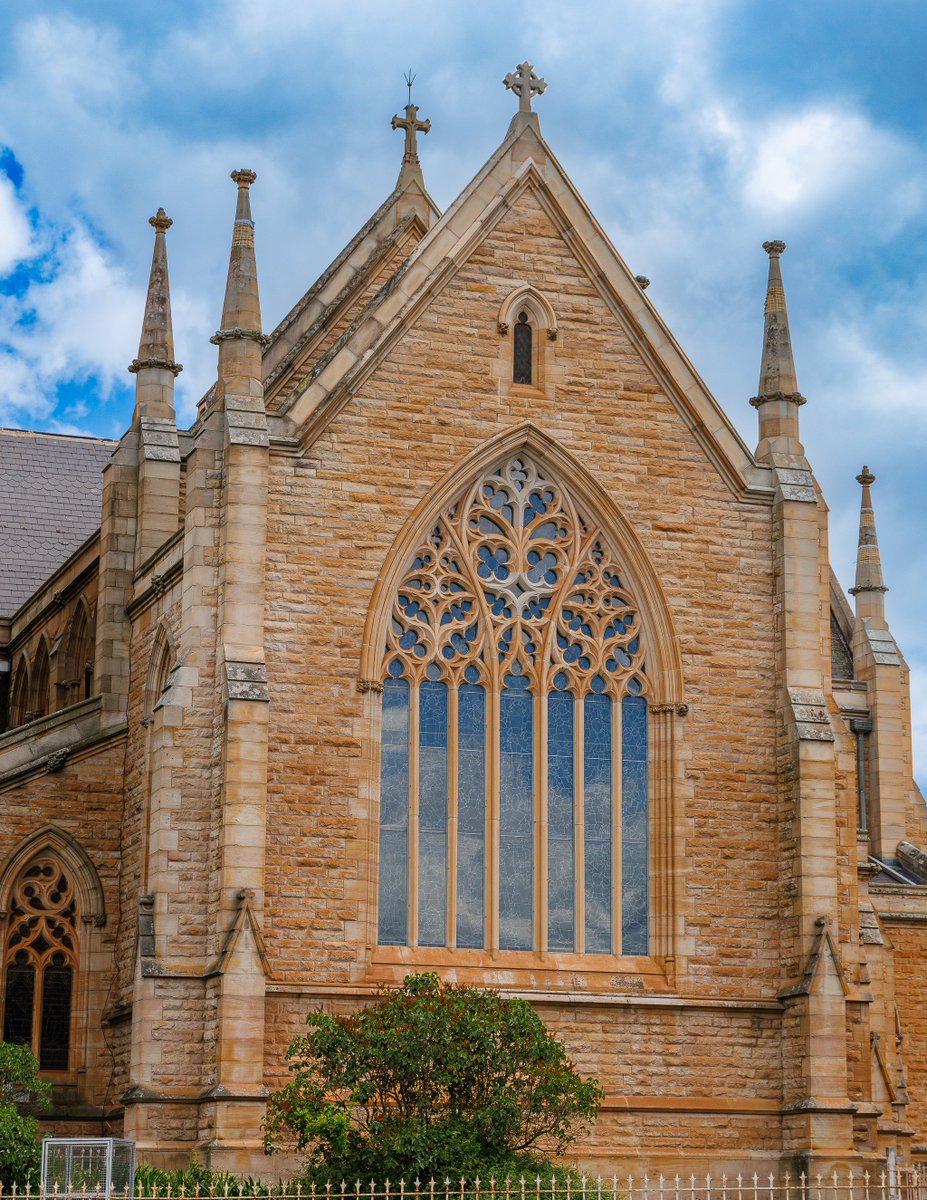 TechnicallyNotAsian tweet media