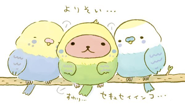 カピバラさん【公式】 (@FROM_TRYWORKS) / Highlights / X