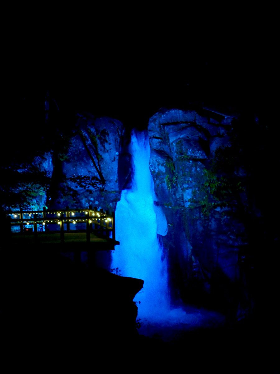 だんごむし on X