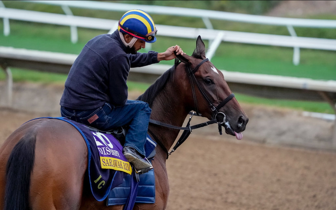 Sarawak Rim estará el sábado en la <a href="/BreedersCup/">Breeders' Cup</a> Distaff (G1), en Del Mar. La yegua del stud Los Melli, que logró la clasificación al ganar el GP Criadores (G1) de Palermo al mando de Juan Franco Saldivia y entrena en USA @ignaciocorreas, correrá con nuestros colores.