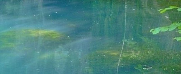 avriel⁷ tweet media