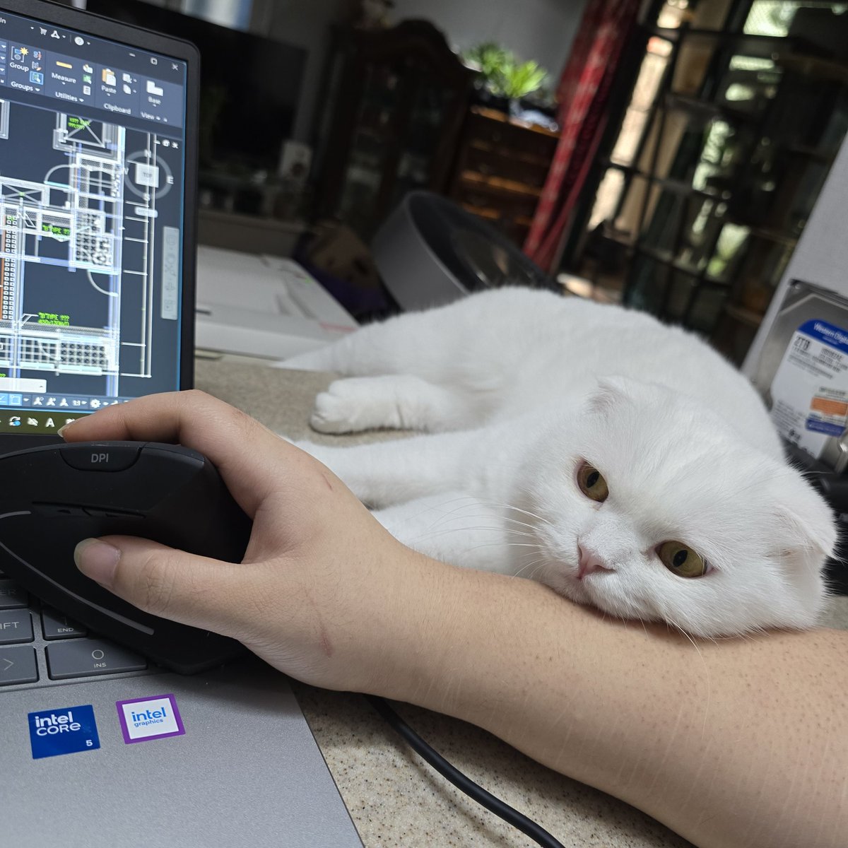 업무시작 15분됐는데 엄마 일 그만하고 나랑 놀아 어필이 대단함