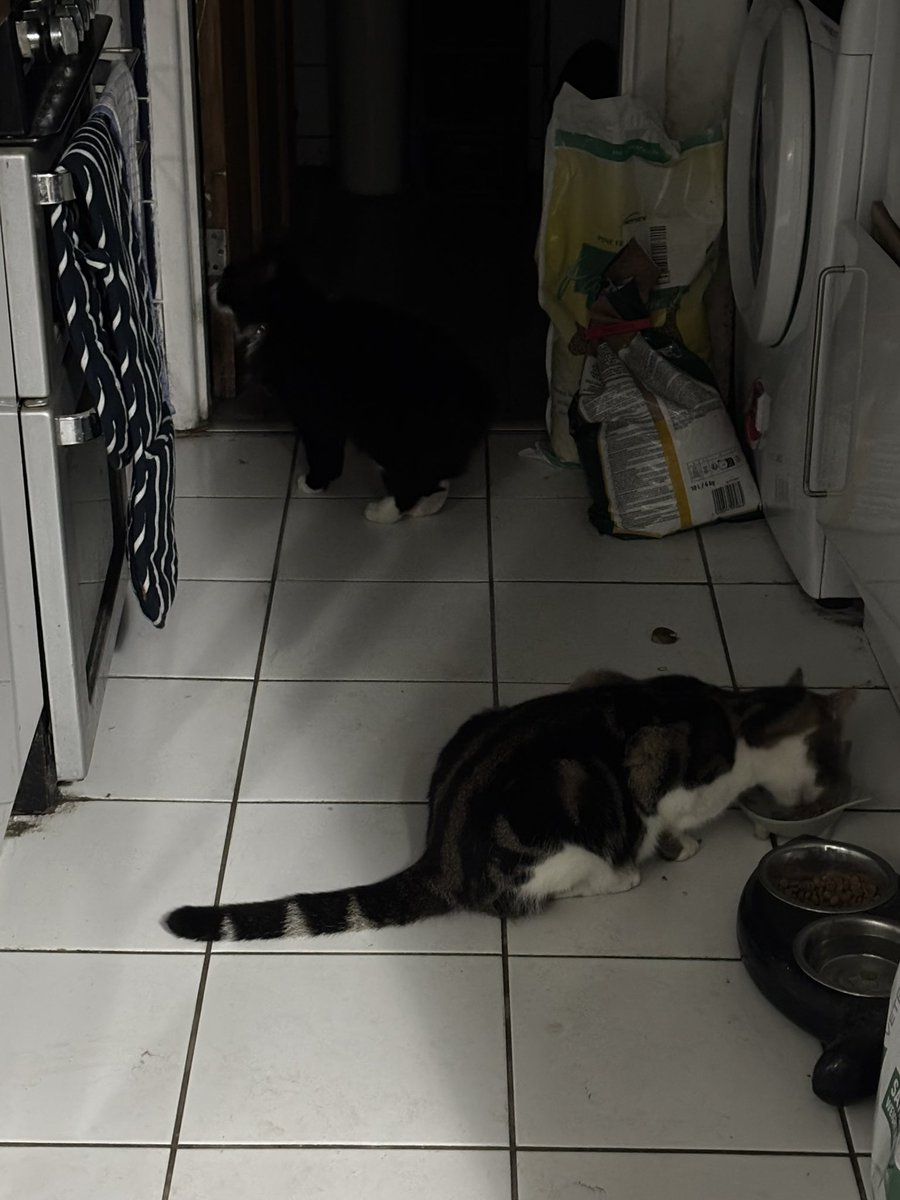 Home from my holiday which is sad but I get to see my cats which is great