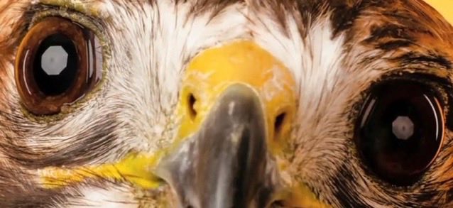 Reece Vander Zee (@reece_vander_ze) on Twitter photo 