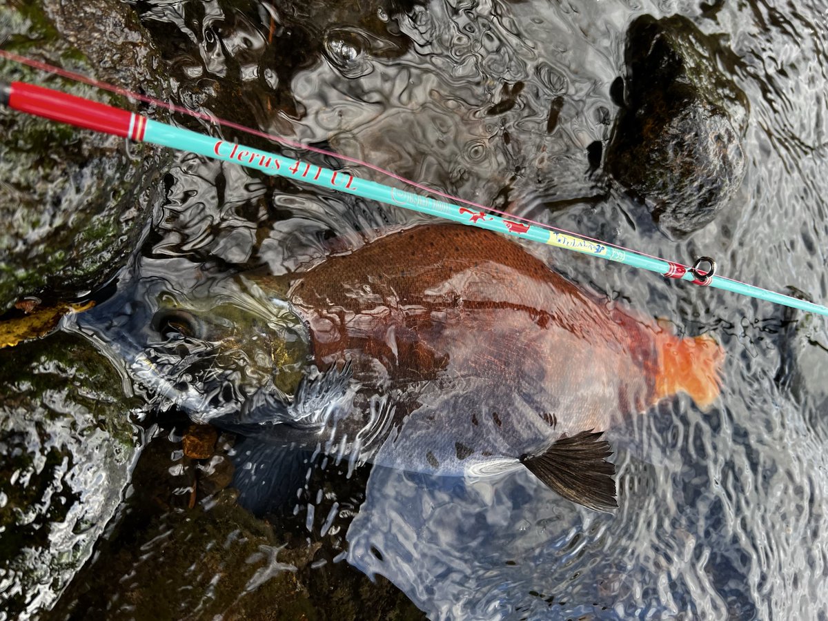 ロッド user_b88b47ce ロッド user_b88b47ce ロッド user_b88b47ce ロッド user_b88b47ce ZX