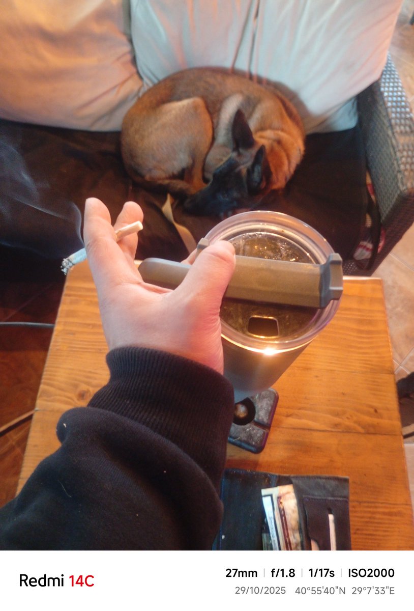 Günaydın... İyi bayramlar...