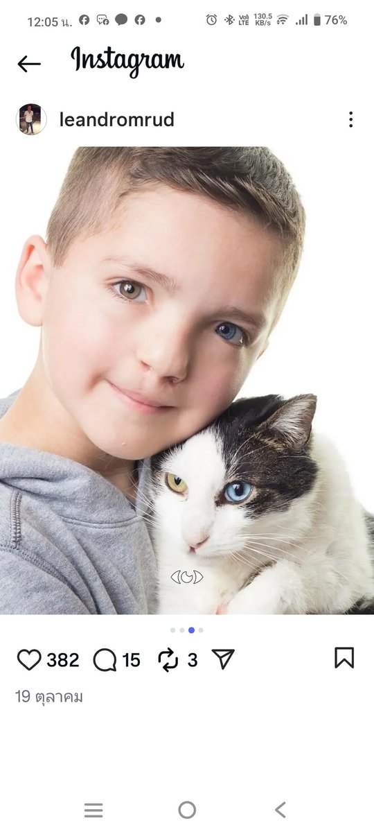 แมดเดน ฮัมฟรีส์ วัย 7 ขวบจากรัฐโอคลาโฮมาตอนนี้เป็นไวรัลไปทั่วโลกจากมิตรภาพอันงดงามกับแมวชื่อมูน ทั้งแมดเดนและมูนมีลักษณะเฉพาะที่เหมือนกันคือปากแหว่งและตาสองสี

น้องแมดเดนโดนแกล้งเพราะมีสีตาที่ผิดปกติหลังจากถูกกลั่นแกล้งมาหลายปีในที่สุดแมดเดนก็พบเพื่อนที่หน้าตาเหมือนเขา