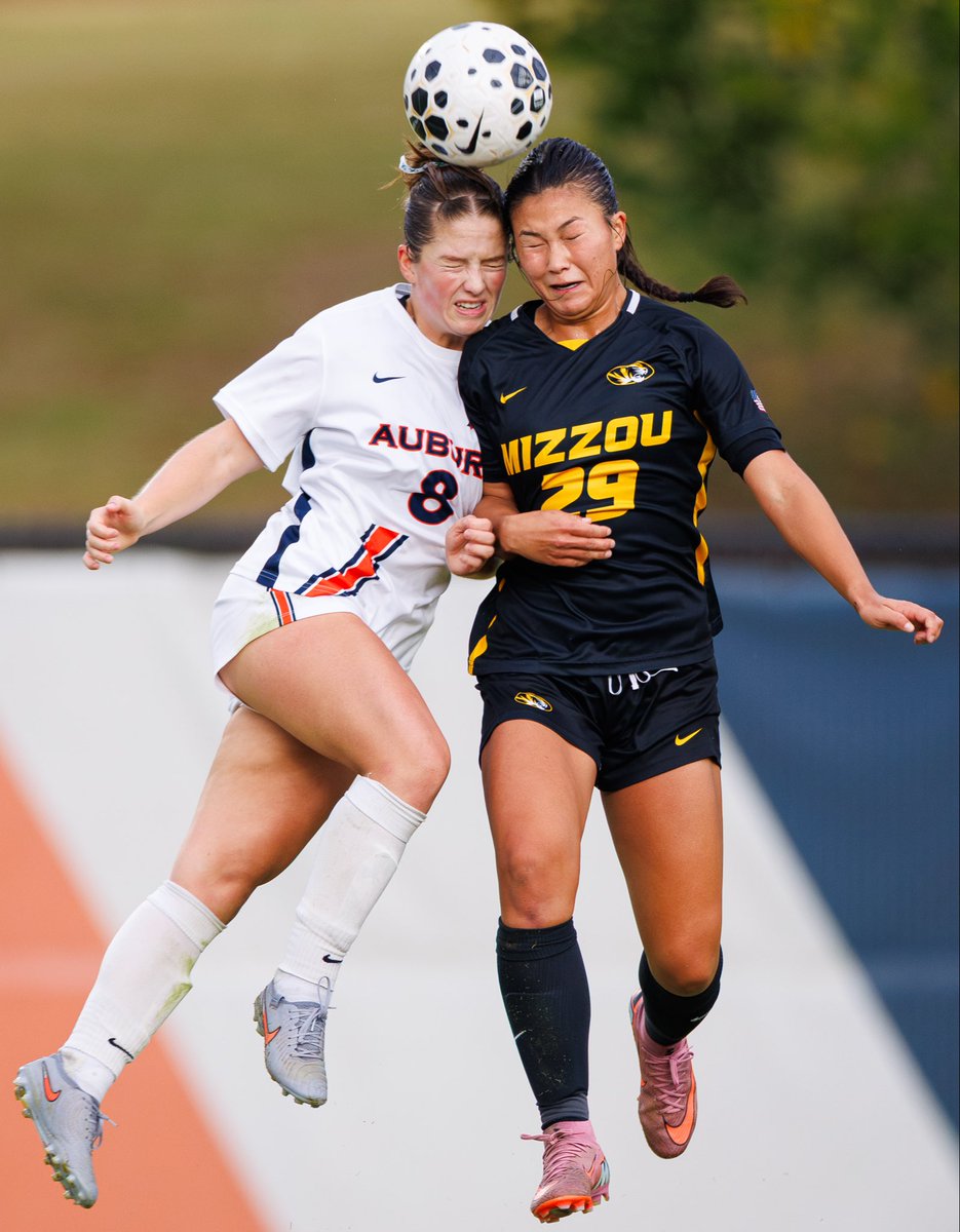 David Gray tweet media