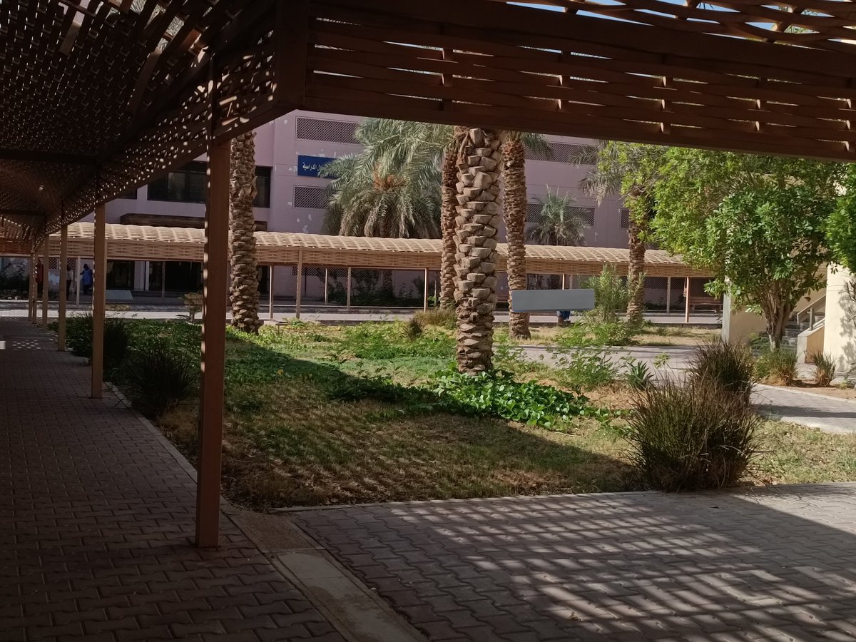 Shatha_CISDev's tweet image. 🌿✨🌤️📚🧠