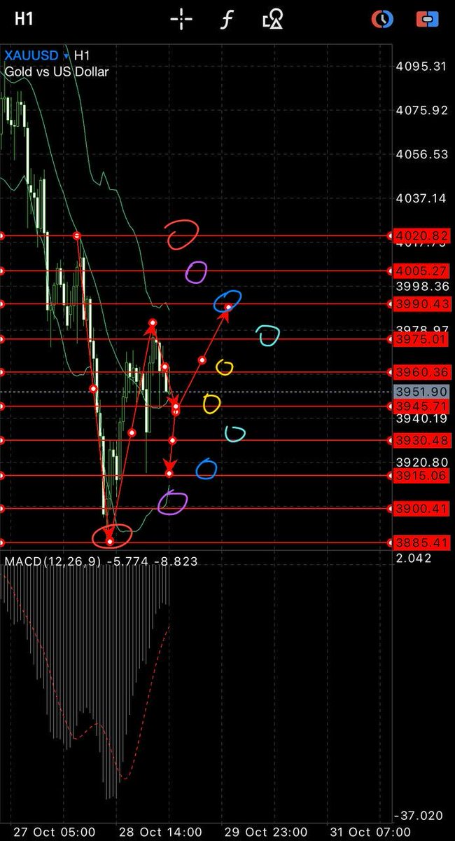 Forex_XAUUSD_B's tweet image. #XAUUSD Buy 3950-3953
3945 Buy more
TP1 3956
TP2 3959
TP3 3962
TP4 3965
TP5 3970
TP6 3975
TP7 3980
TP8 3985
SL:3938(Or Pls setting it according with your free margin)

When’s profit you can close anytime and don’t be greedy 😁For your reference only and take your own risks🤝