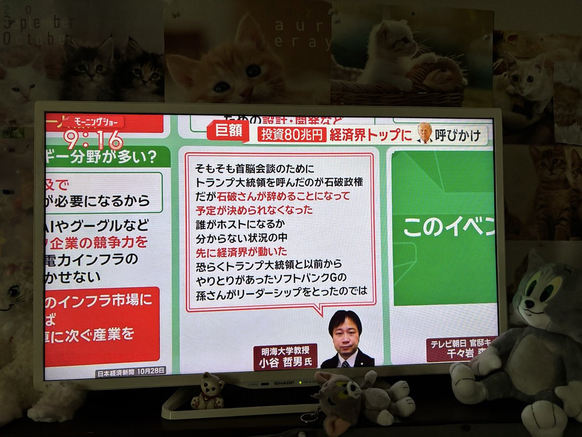 Ricoになります⭐︎ 猫リコ🐱 on X