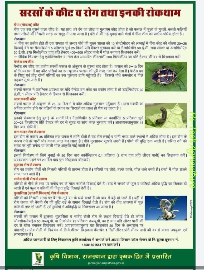 सरसों के कीट व रोग तथा इनकी रोकथाम
<a href="/BhajanlalBjp/">Bhajanlal Sharma</a>
<a href="/DrKirodilalBJP/">Dr. Kirodi Lal Meena</a>
<a href="/RajCMO/">CMO Rajasthan</a> <a href="/RajGovOfficial/">Government of Rajasthan</a>