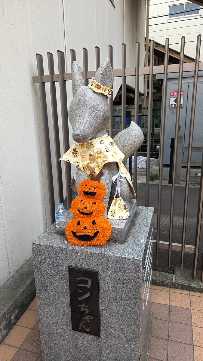 眠りネコ ねこシリーズ】眠り猫のトレーキット 黒 8.5×13.5×0.8cm/Pkit292