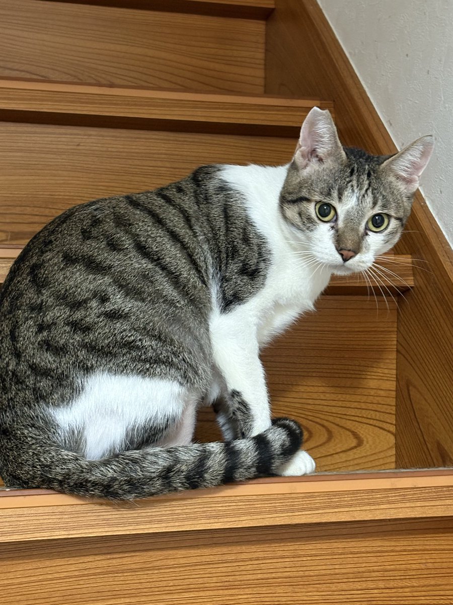 にゃん連絡 China The 4436536 pressure sensor is suitable for Hitachi ZAX200