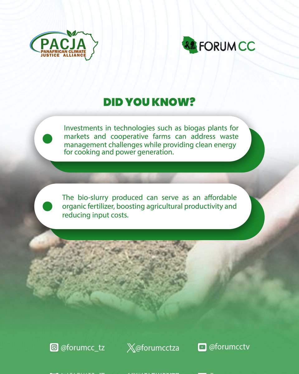 Forumcctza tweet media