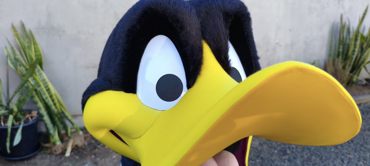 Ceno Bear òᴥó 🐻‍❄️ tweet media