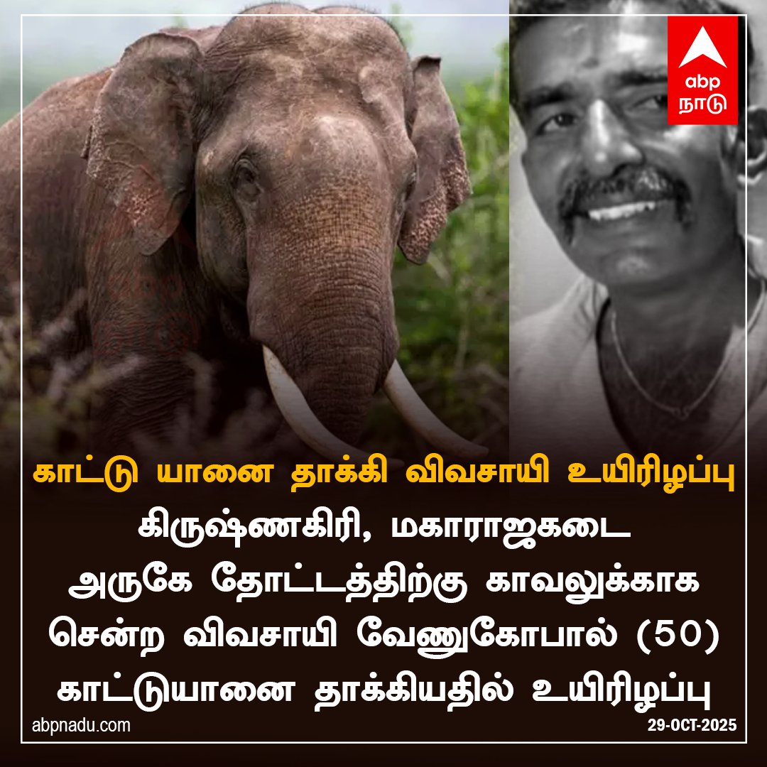 abpnadu's tweet image. காட்டு யானை தாக்கி விவசாயி உயிரிழப்பு 

#Krishnagiri #wildelephant #elephant #Tamilnadu #tamilnews #ABPNADU