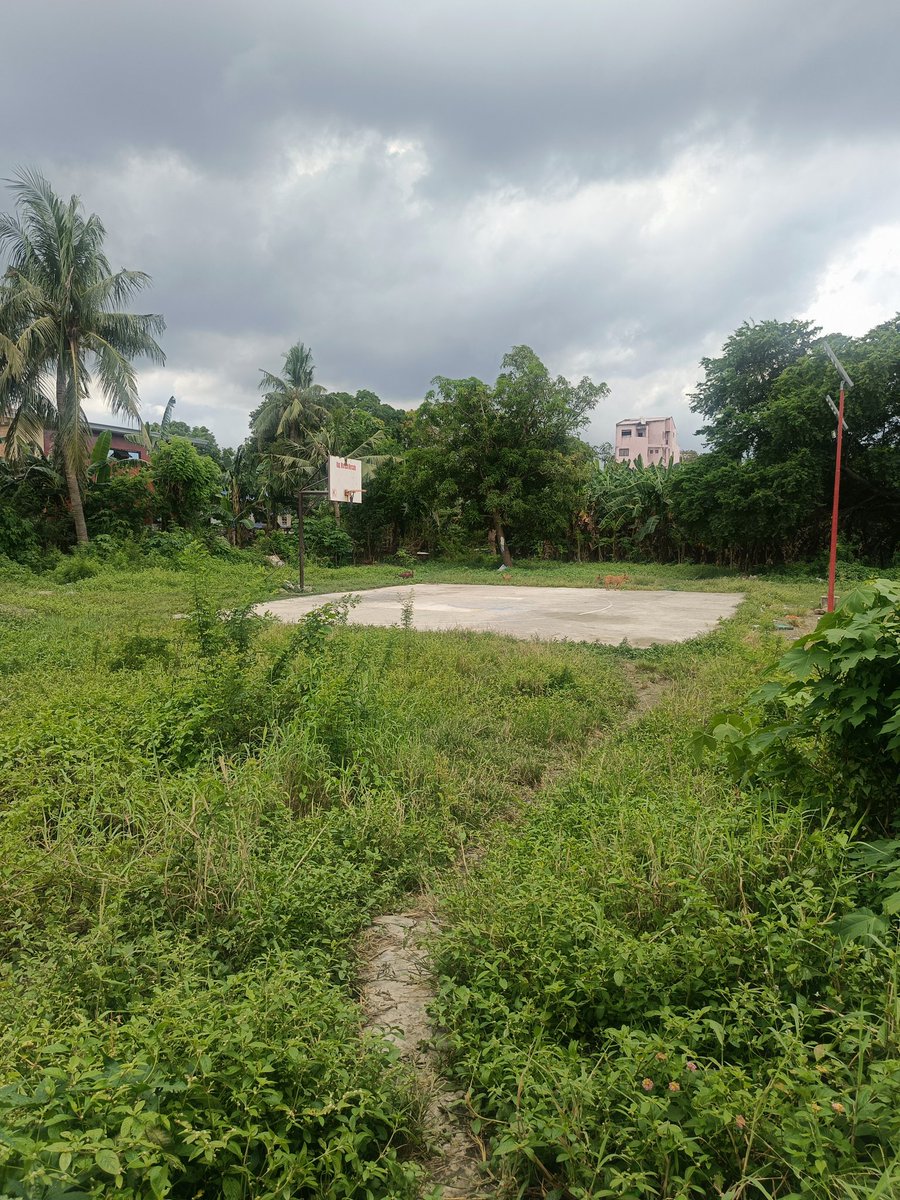 zrolextala's tweet image. 🔥 Street Story #24 🔥
Found this hidden basketball court, a reminder of simpler times. 🏀 Nature reclaiming the game. 🌱 #ForgottenFields #BasketballLife #Zora #ZoraCommunity Check out my Zora profile! 👉zora.co/@cholek