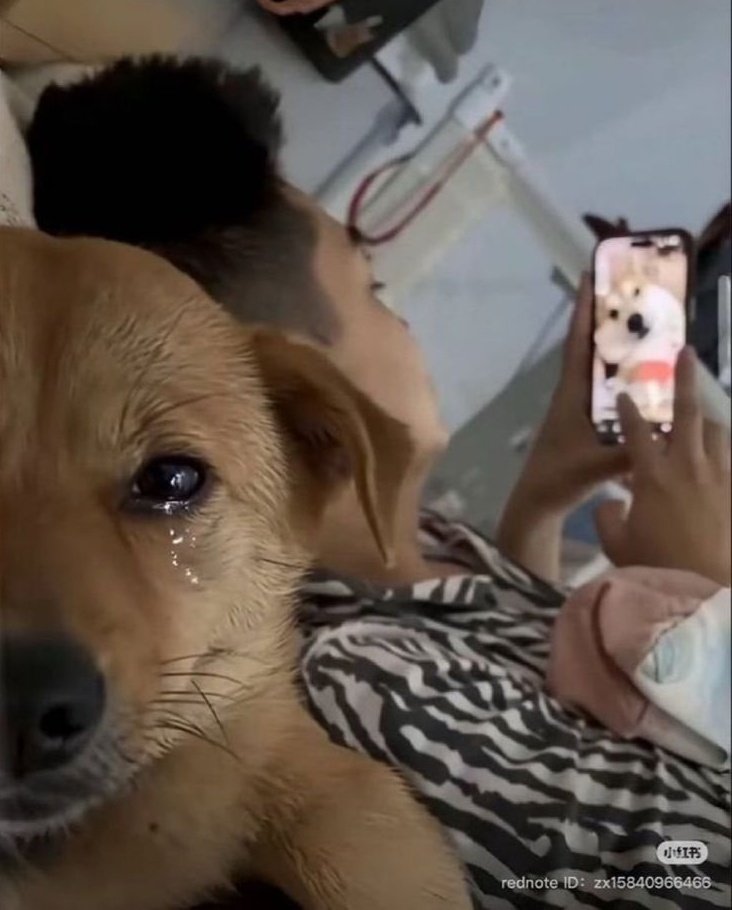 Abaana bange mbaleta wuwo