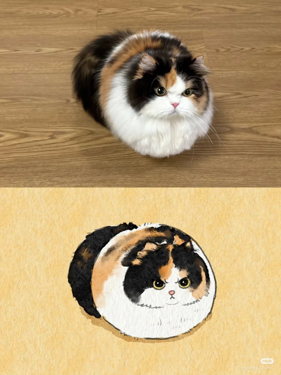 No Context Cats tweet media