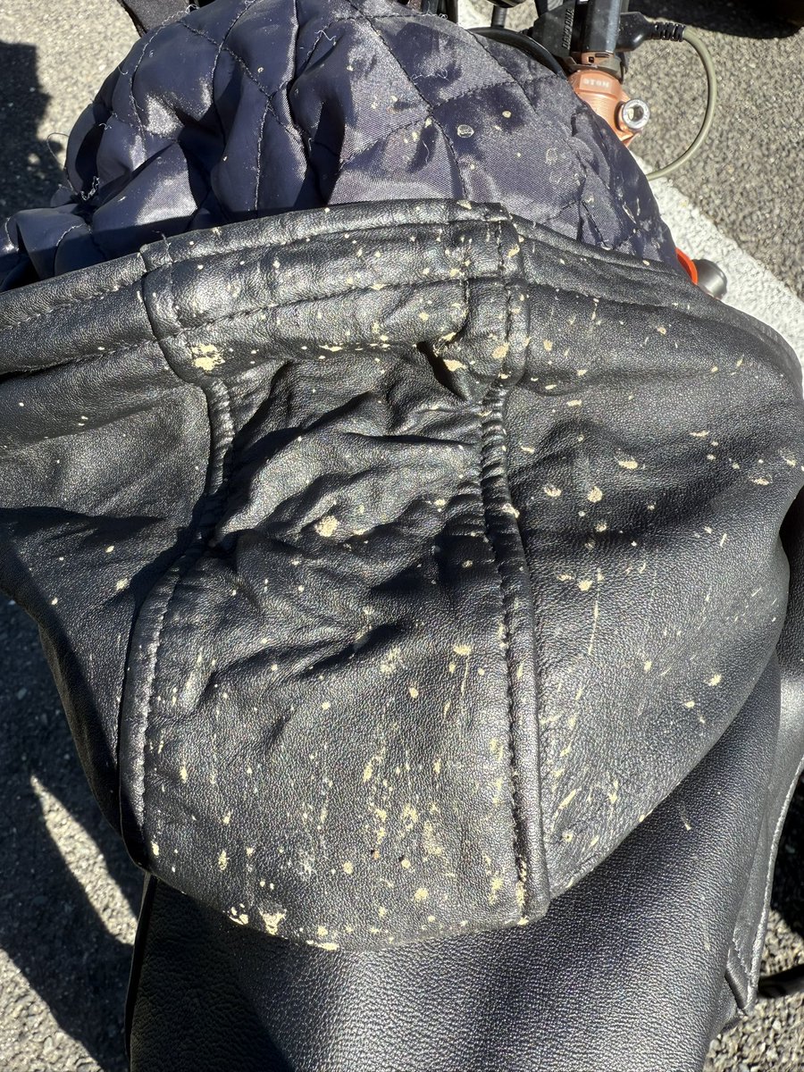 Yukorin様 ゆうこりん on X