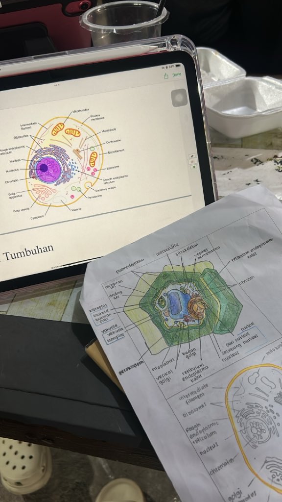 icey, kinda ia tweet media