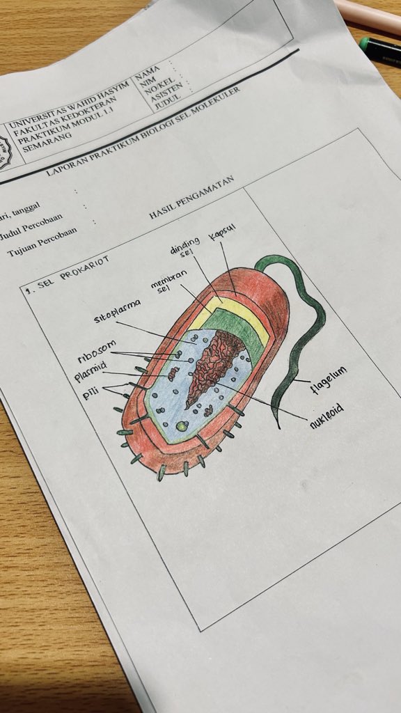 icey, kinda ia tweet media