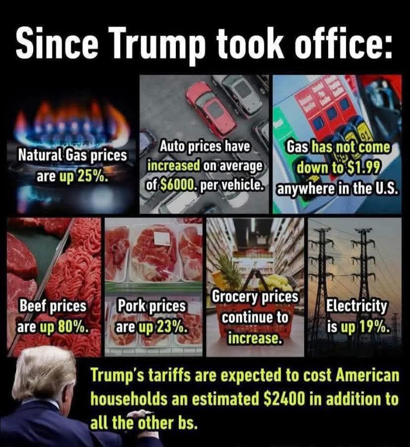 MadhurKapoor12's tweet image. 