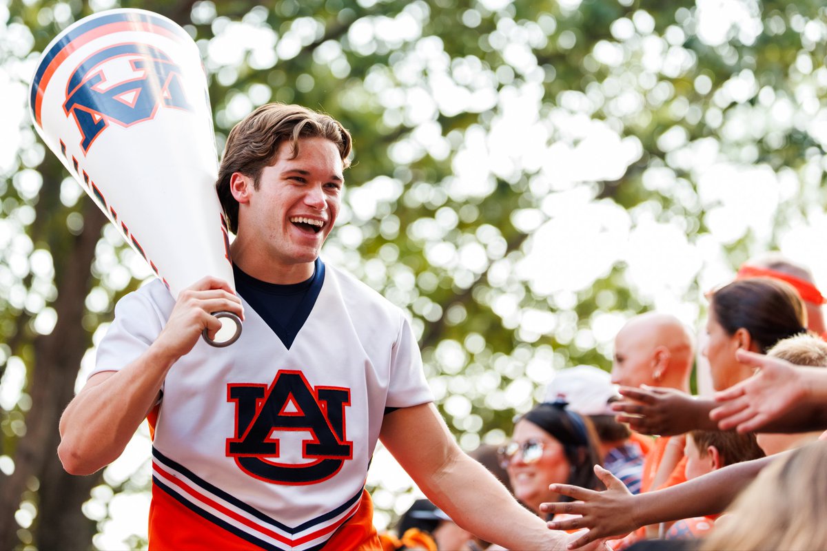 David Gray tweet media