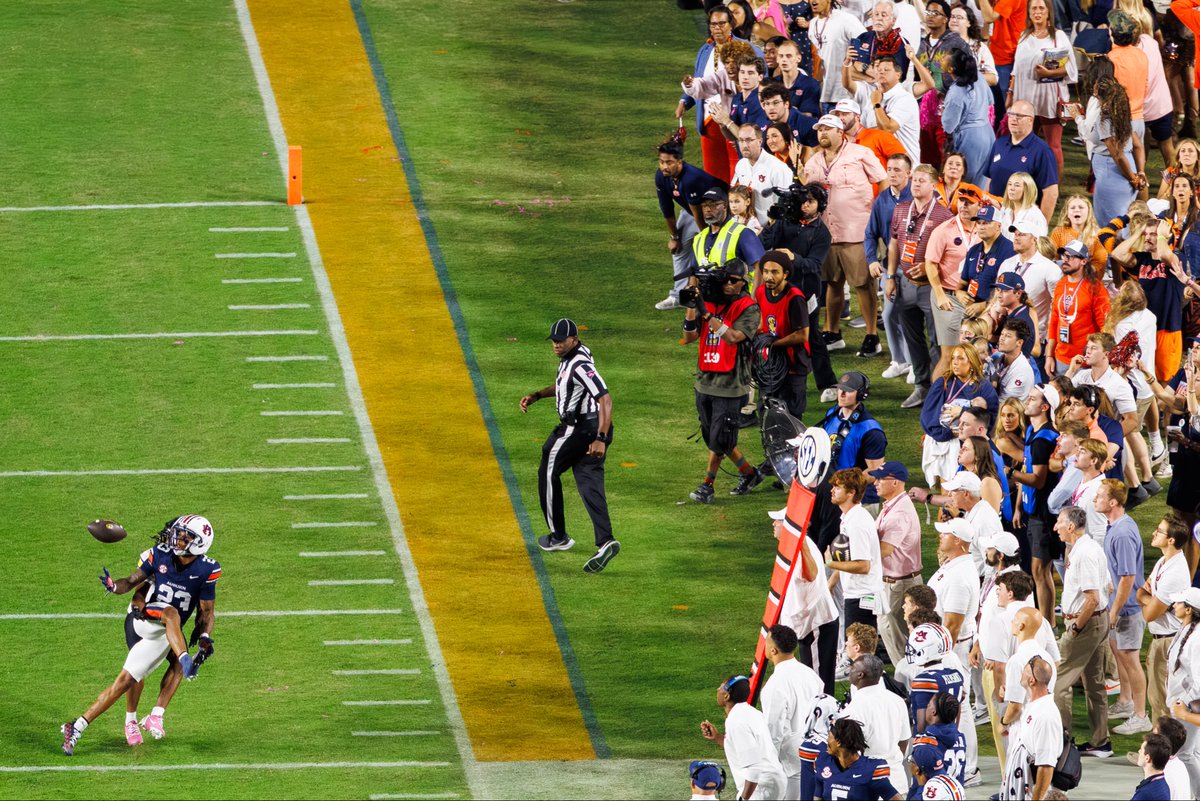 David Gray tweet media