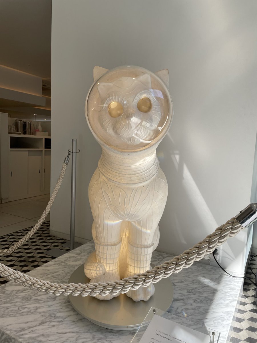 シップス キャット 宇宙猫 コスモレッドカラー 限定ヤノベケンジ氏