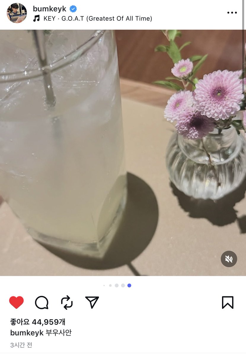 흑흑 저 꽃 보고 기범이가 먹는 거 아니냐고 했었어요 ㅜㅜ
나 너무 기쁘다….