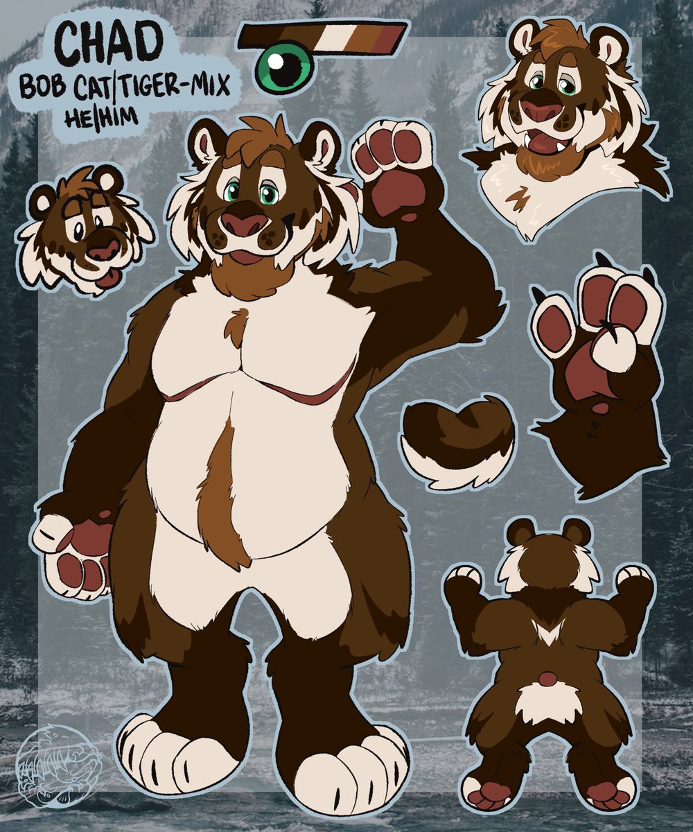 Here’s the boy’s final design! Thank you for everyone’s input !! :3🐾🐯