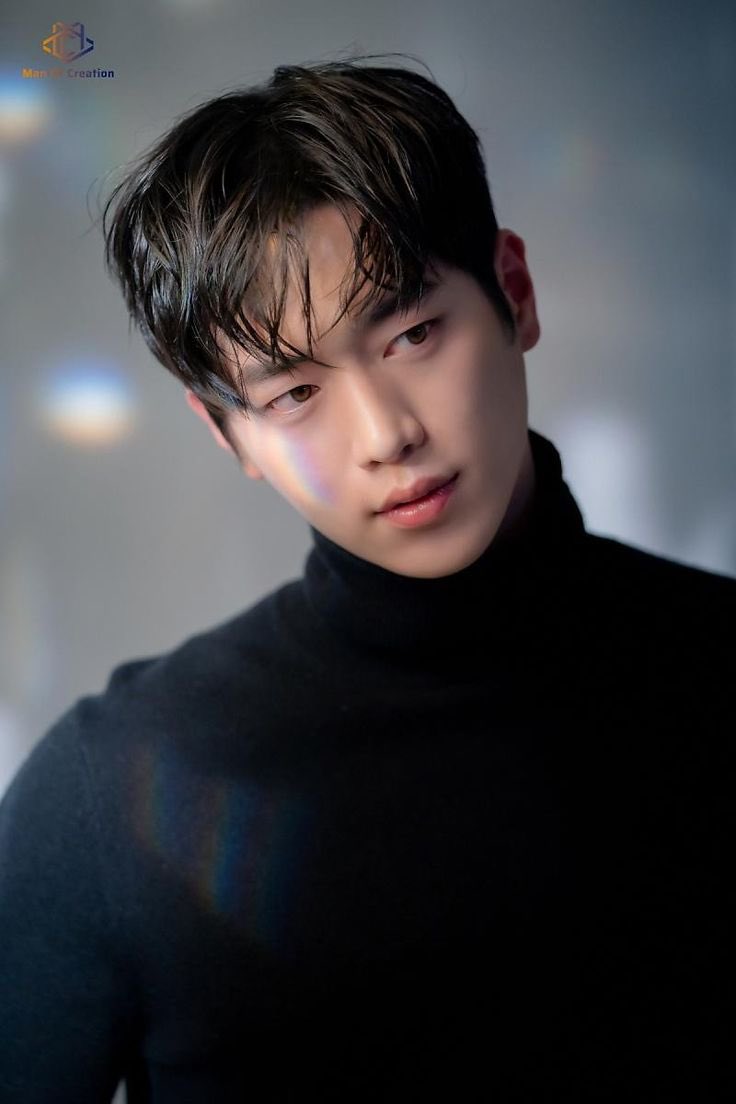 하울 tweet media