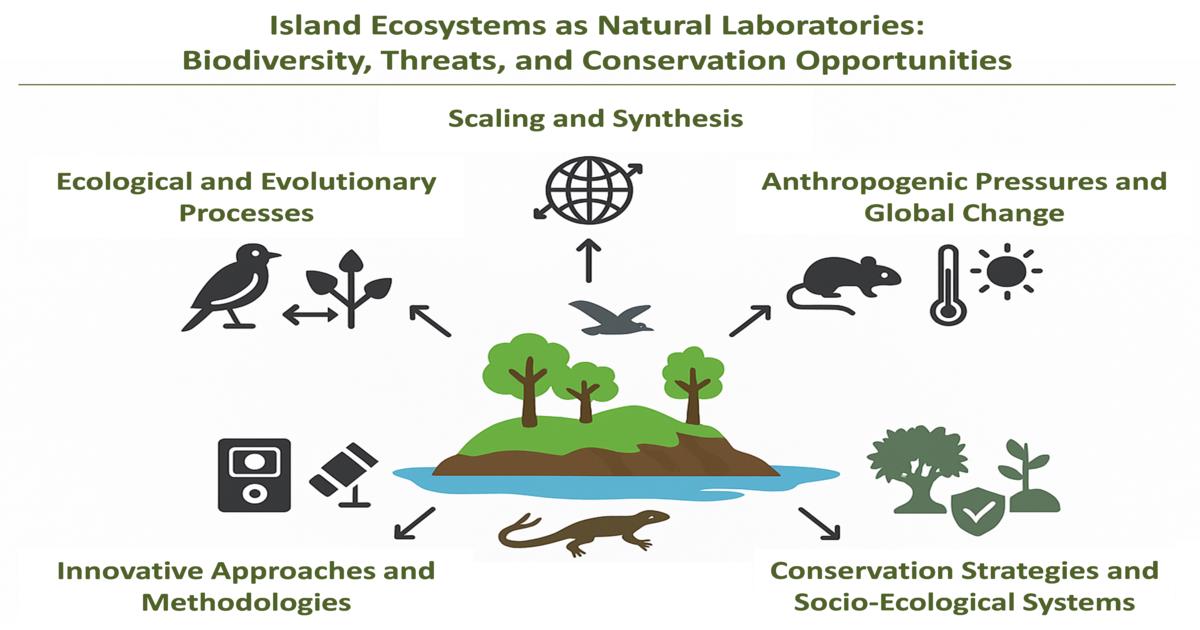 Conservation_OA's tweet photo. ☕️Special Issue  

"Island Ecosystems as Natural Laboratories: Biodiversity, Threats, and Conservation Opportunities" is  online and open for #submissions! 

Guest Editors: Dr. Yiannis G. Zevgolis, Dr. Christodoulos Sazeides and Dr. Giorgos Stavrianakis  

https://t.co/KJpA8T6Ezt https://t.co/2GCtn5Evhz