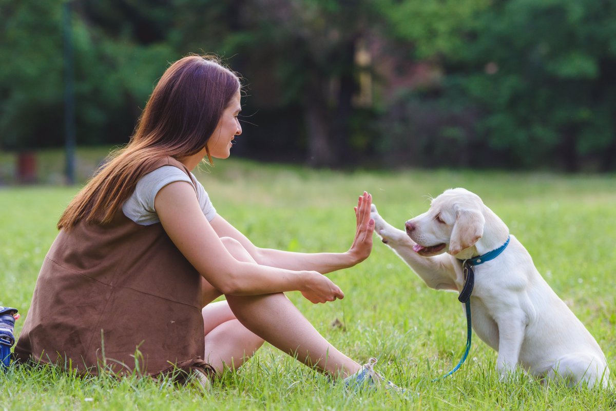 SMART TASK WEDNESDAY

Before you buy or move in, check the rules that shape everyday life in strata.
Focus on:
• Pets – allowed and under what conditions
• Renovations – what needs approval
• Parking – visitor spots are not for residents
Quick check now = fewer surprises later