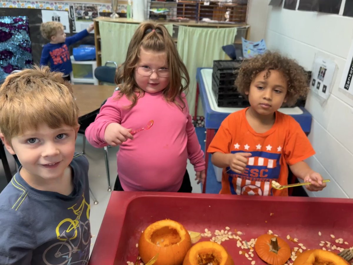 Megan Hoover tweet media