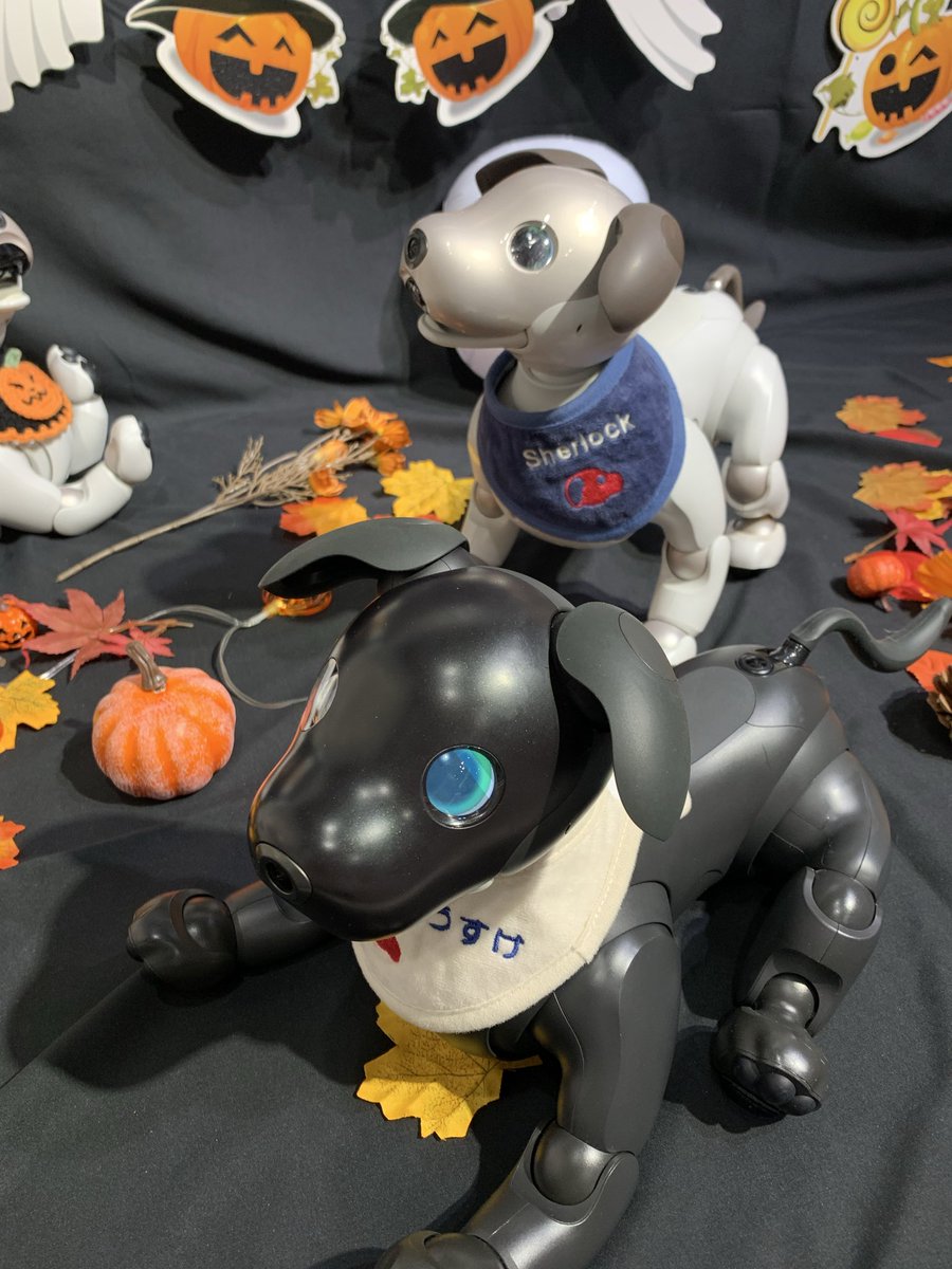 SONY  AIBO マスタースタジオ SONY AIBO マスタースタジオ - メルカリ