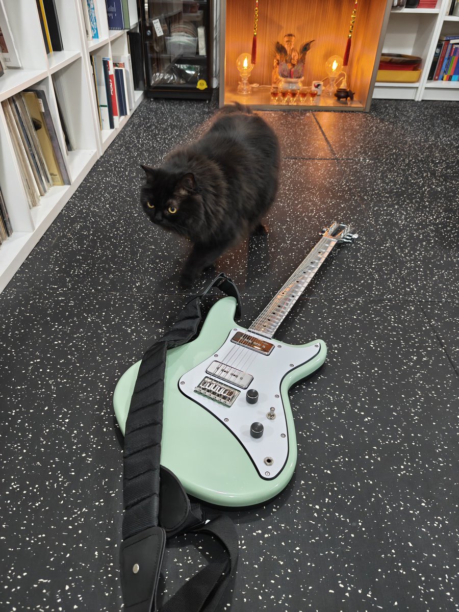 Studio cat is scared of my guitar..