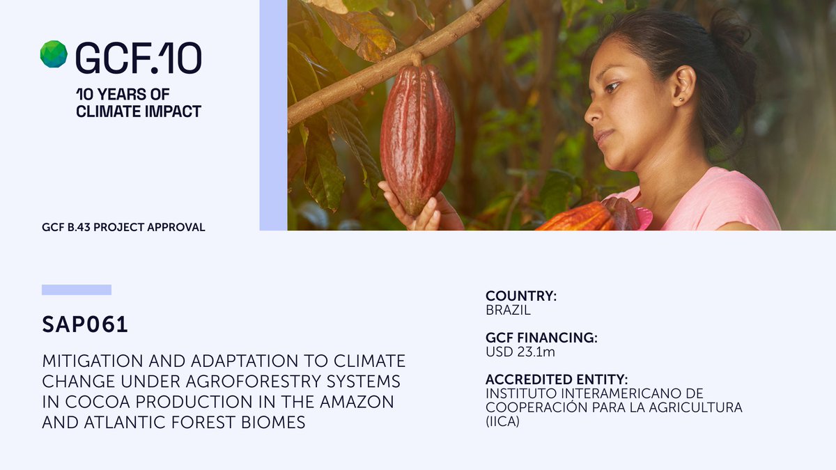 theGCF's tweet image. GCF Board #GCFB43 approved #adaptation #mitigation project SAP061 with @iicanoticias to restore 12,500 hectares of degraded land while promoting climate-resilient agroforestry practices to Brazil’s cocoa farmers. gcf.co/sap061