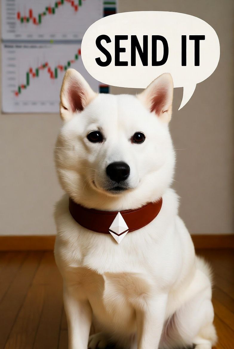 You heard her, she said SEND IT $KUCHAN

CA 
0x341EA9D0e5c9A2A7781AfF398117846Ea2FfF2Ab