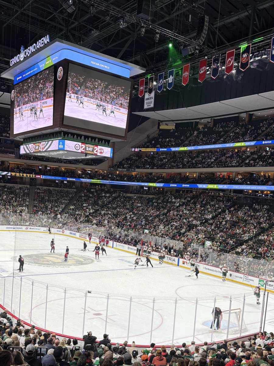 the minnesota wild are NOT a serious hockey team