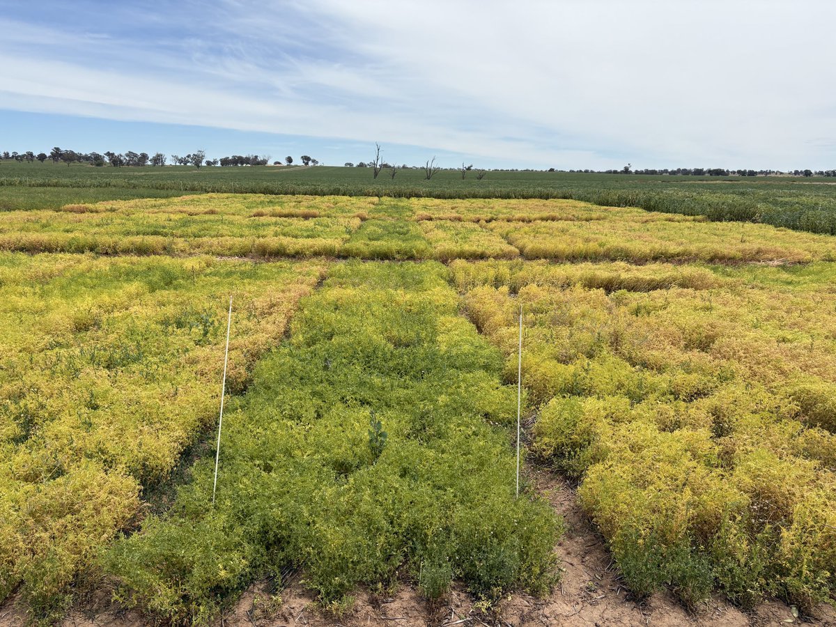 Stuart Ockerby tweet media